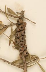 © Landcare Research 